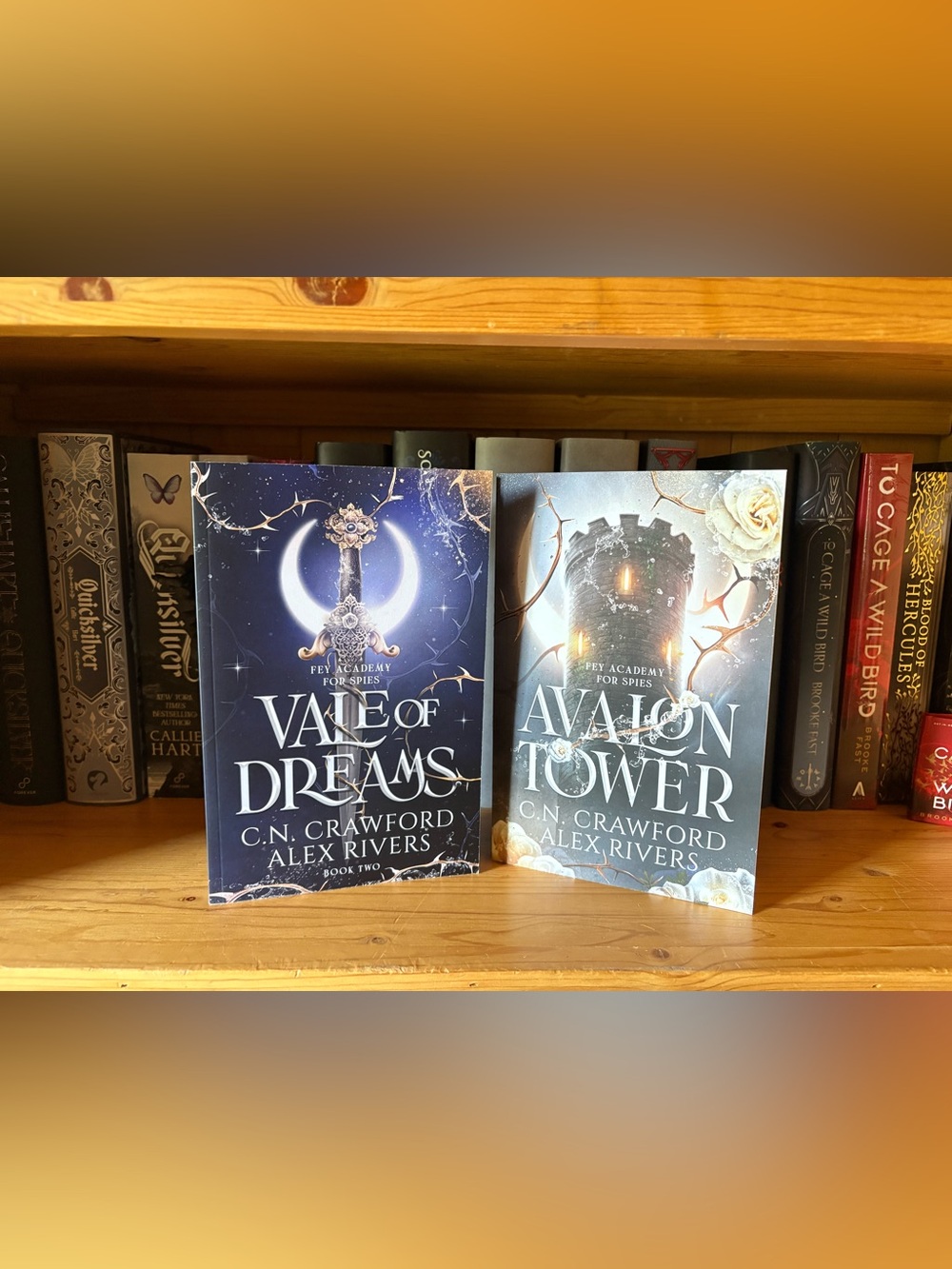 CN Crawford - Avalon Tower & Vale of Dreams